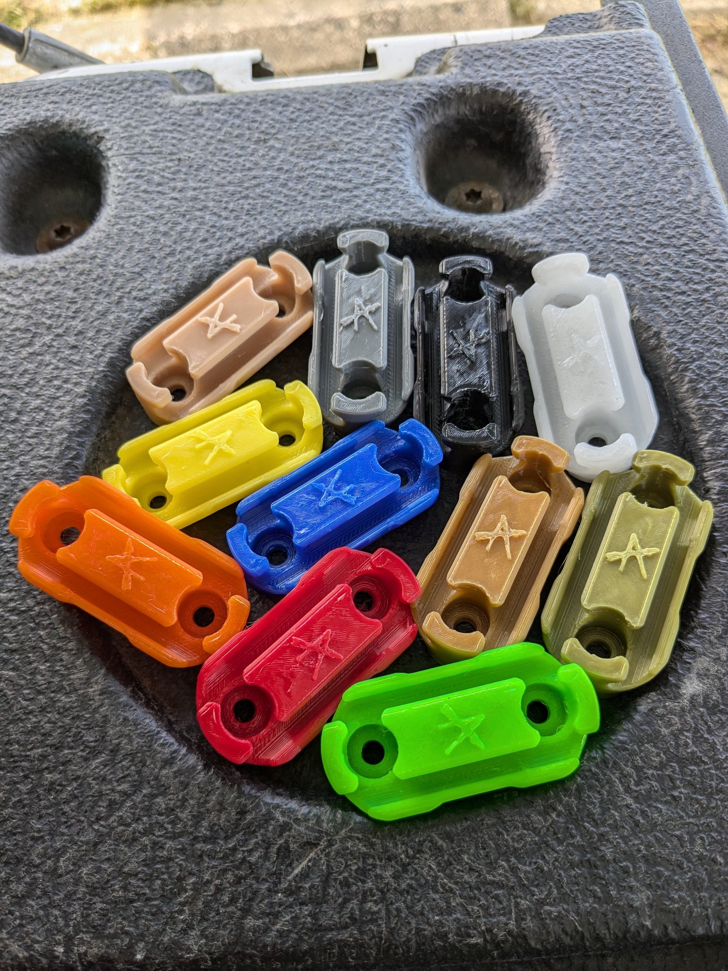 Buddy Series Quivers