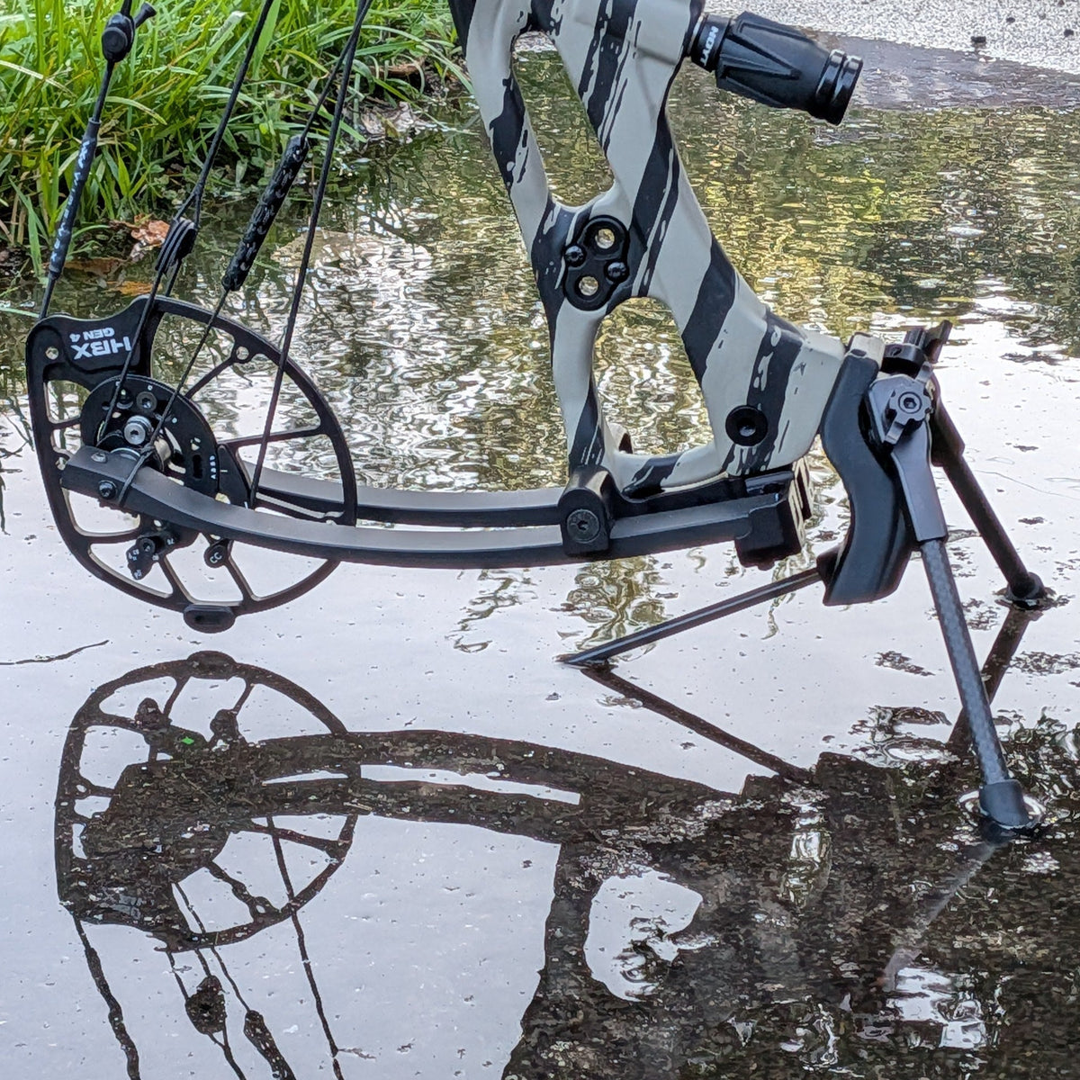 Final Foot - Hoyt